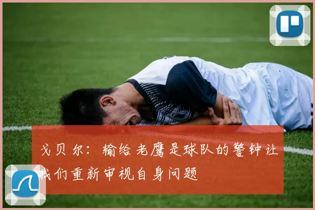 戈贝尔：输给老鹰是球队的警钟让我们重新审视自身问题
