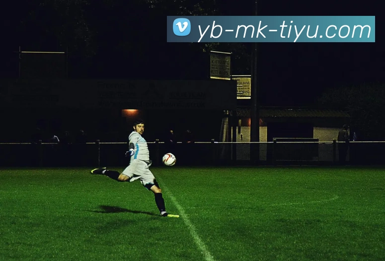 App Interface Preview