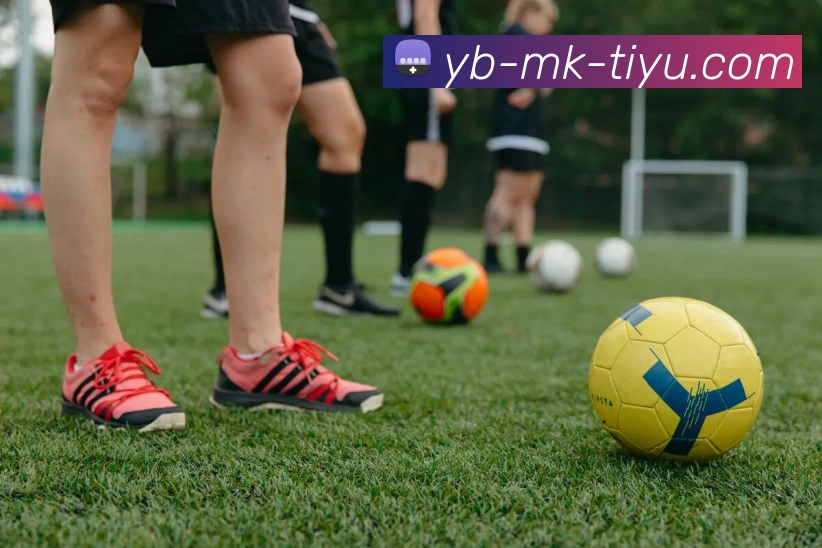 MK体育APP 封面图