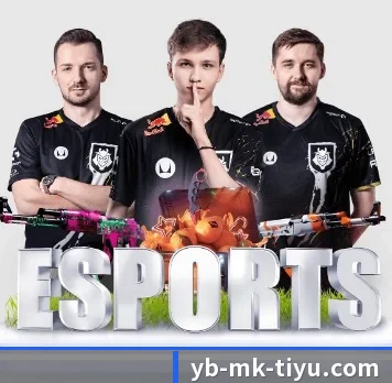 MK体育 APP - mksports